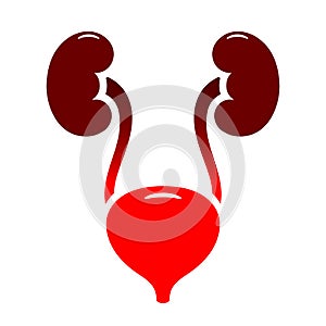 Bladder and urinary tract infection icon photo