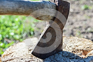 Blade of ax sticks out in a wooden stump, woodcutter, cutting down trees, fear, violence, crime, copy space