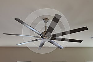 8 bladed ceiling fan photo