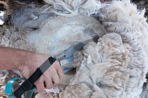 Blades go through alpaca fiber, blade shearing