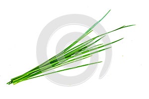 Blades of grass on a white isolated background