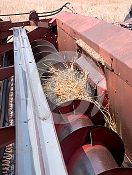 Blades of a wheat harvester