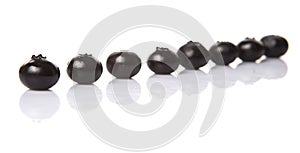 Blaeberry Or Bilberry I