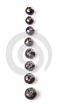 Blaeberry Or Bilberry V