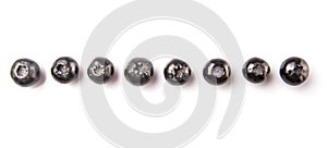 Blaeberry Or Bilberry XI