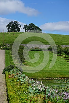 Blair Athol, Scotland: Sheep grazing under a bright blue sky