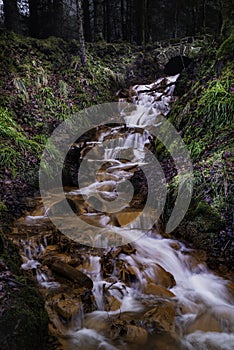 Blairadam woods, fife, kelty, scotland.