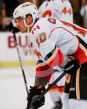 Blake Comeau Calgary Flames