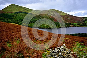Cairn on Low Fell