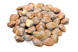 Blanch clams photo