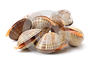 Blanch clams photo