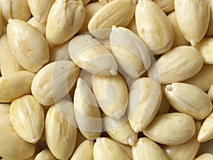 Blanched almonds photo