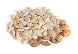 Blanched almonds with unshelled nuts. On white background.