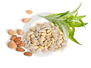Blanched almonds with unshelled nuts. On white background.