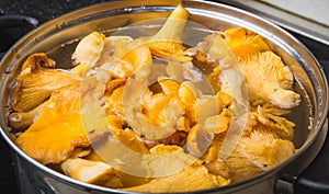 Blanching of chanterelles in a pot