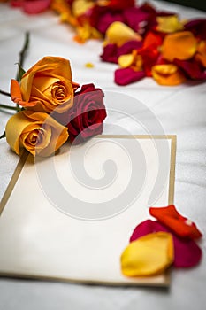 Bland card invitation for a wedding or announcement with orange and red roses