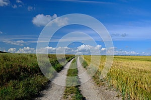 Blandford fields trail ways