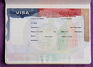 Blank american visa in passport photo