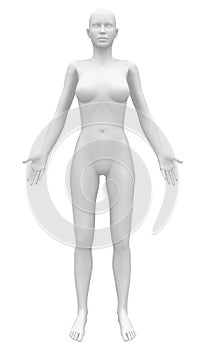 Blank Anatomy Female Figure - Front view