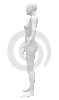 Blank Anatomy Female Figure - Side view