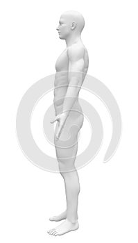 Blank Anatomy Figure - Side view