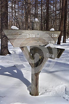 Blank arrow wood sign post in the snow mountian