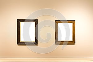 Blank Art Museum Isolated Painting Frame Decoration Indoors Wall