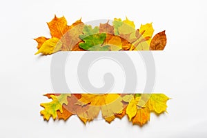 Blank autumn invitation card thanksgiving background. Flat layout fall design autumn leaves border frame. Flat fall