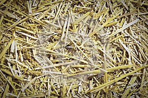 Blank background image of golden straw