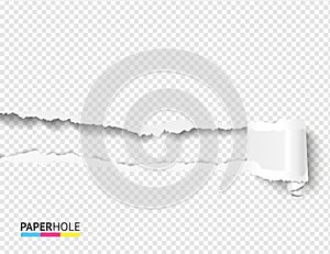 Blank banner with scrolled torn piece with paper hole on transparent as revealing message vector concept