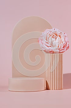 Blank beige podium platforms or pedestals with blooming rose flower for product display. Empty stands for showing or presenting