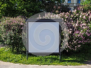 Blank billboard for outdoor advertisement on the spring branch of blossoming lilac background