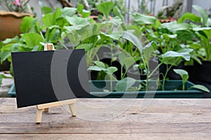 Blank black board on wooden plank  for advertistment  organic vegtable plant proucts,health food and living