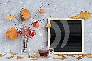 Blank black letter board frame and Autumn bouquet of branches with yellow leaves on clothespins in vase, cup of tea on table