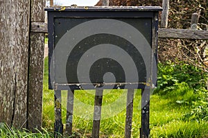 Blank blackboard in the countryside