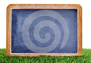 Blank blackboard on the grass