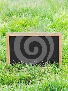 Blank blackboard on green grass.