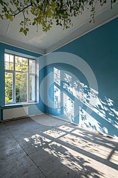 Blank blue empty room with sunlight and leaf shadows