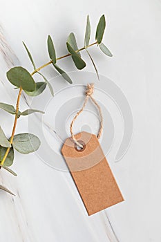 Blank branding tag mockup. Tags for price, gift, sale, address label with floral elements