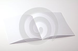Blank brochure