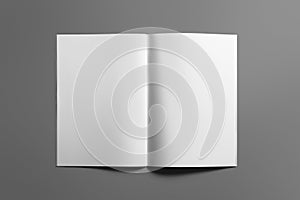 Blank Brochure magazine on grey to replace your design