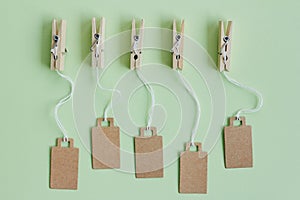 Blank brown cardboard price tags, sale tag, gift tag, address label hanging on clothes wooden clips on pastel green background
