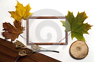 Blank brown frame, maple leaves and wood on white and brown background.