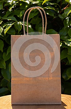 Blank brown paper bag in harsh direct sunlight in front of a green leaf backdrop