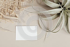 Blank business card decorated with woven and dried grass