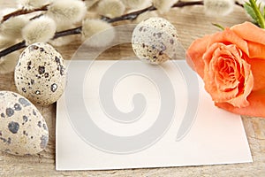 Blank card easter greetings wooden plank,eggs,catkins,feathers,orange rose