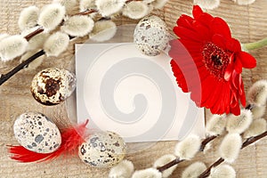 Blank card easter greetings wooden plank,eggs,catkins,red feathers,gerbera