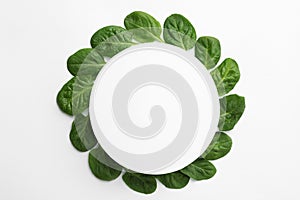 Blank card and fresh spinach leaves isolated on white