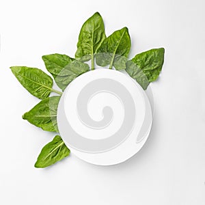 Blank card and fresh spinach leaves isolated on white, top view.