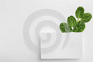 Blank card and fresh spinach leaves on white, top view. Space for text